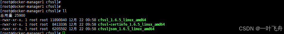 微服务实战系列之玩转Docker（十九）