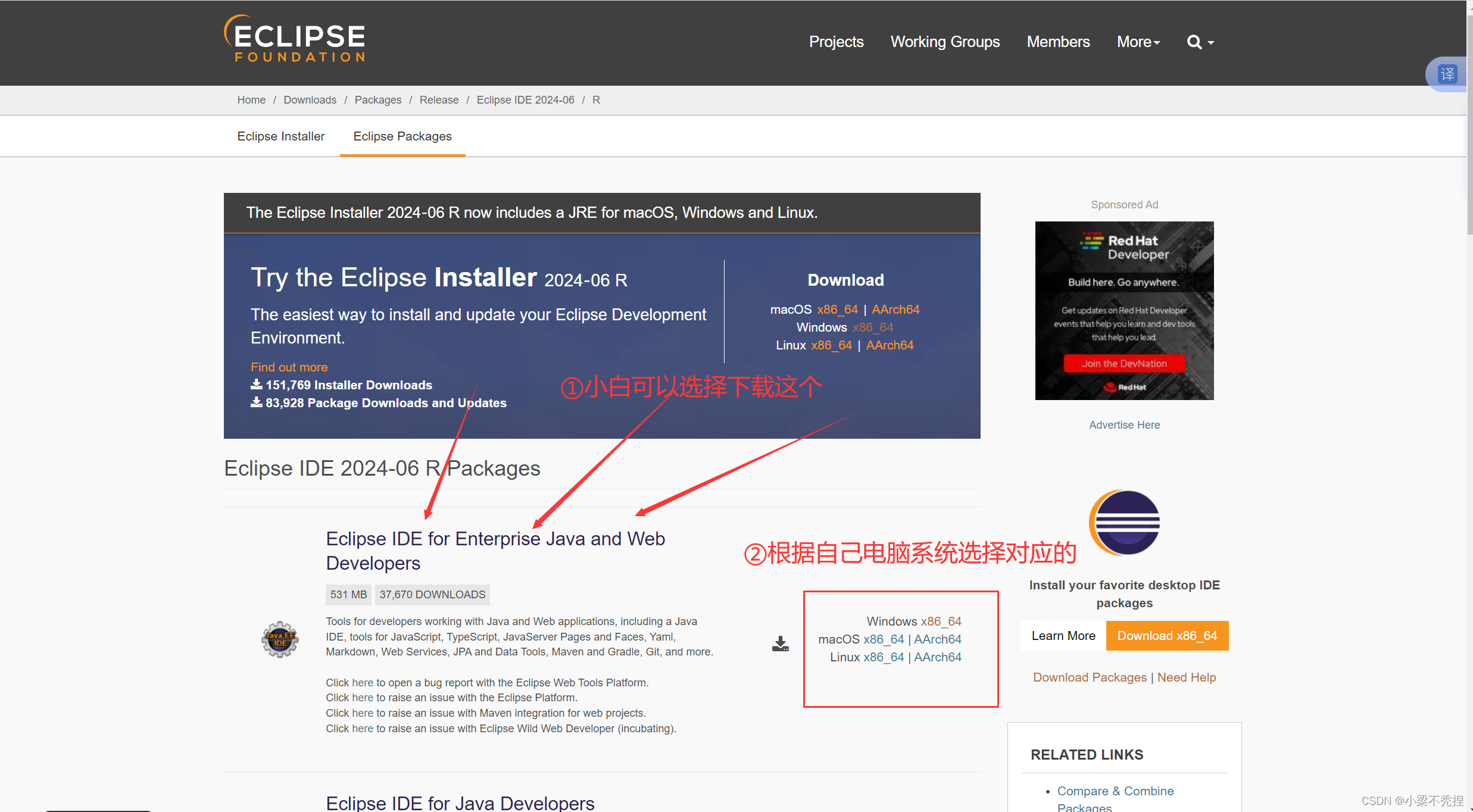 2024.6最新版eclipse下载与安装（汉化教程）超详细教程来咯！！！包懂的