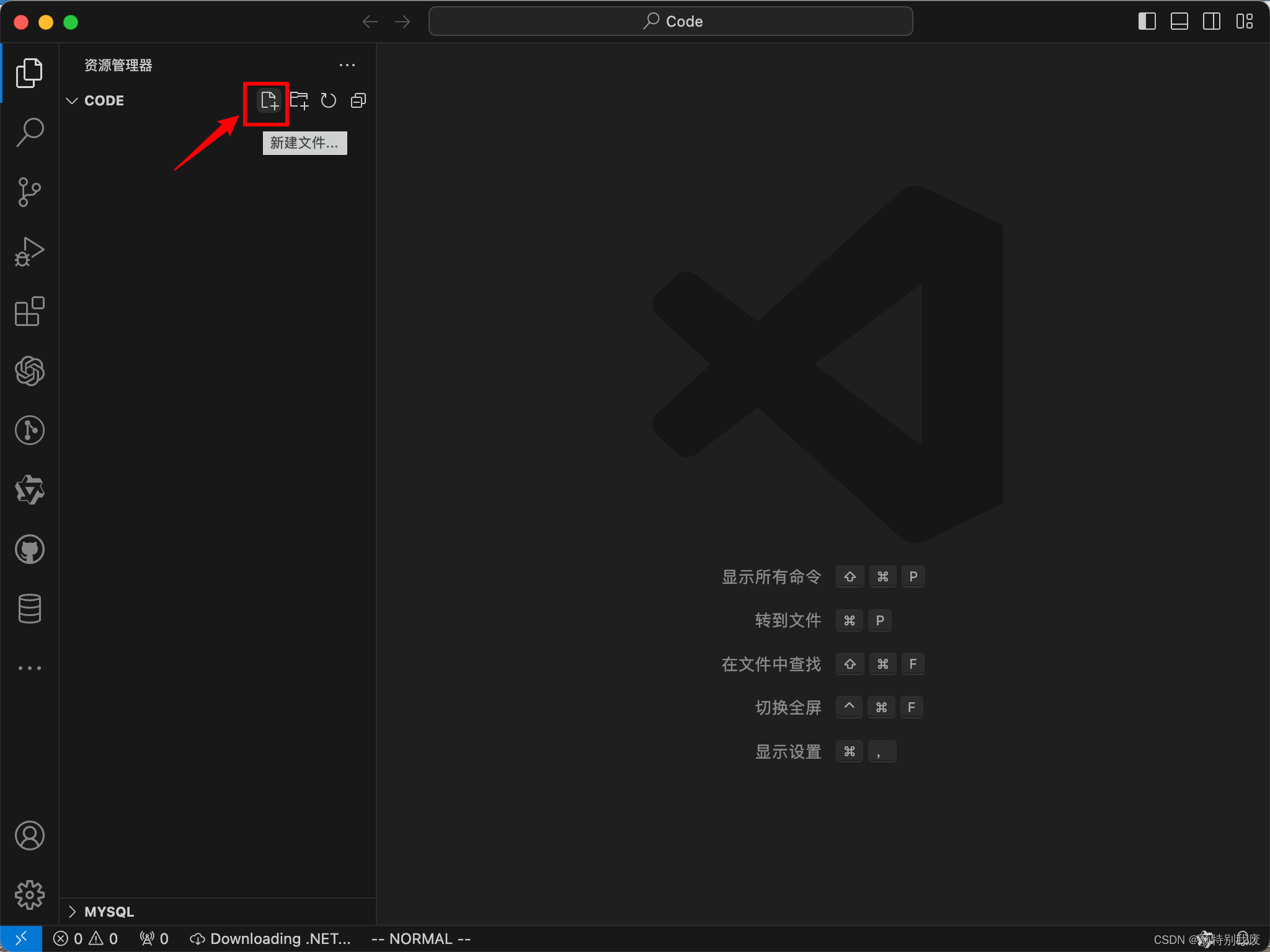 Mac M系列安装配置VSCode