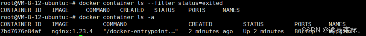 Docker--Docker Container(容器) 之 操作实例