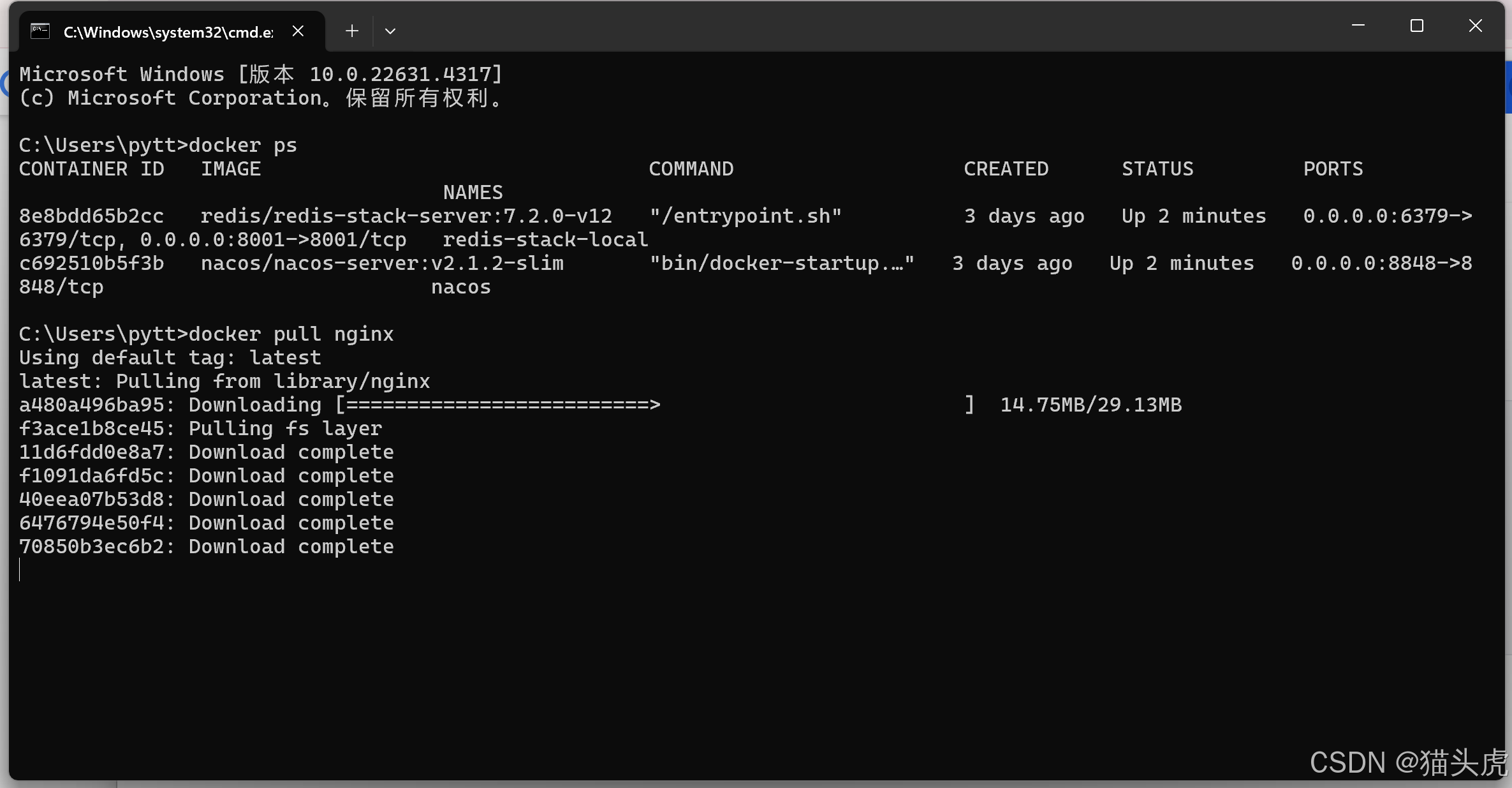 猫头虎分享：2025最新 Docker 国内可用镜像源仓库地址（01月01日更新）
