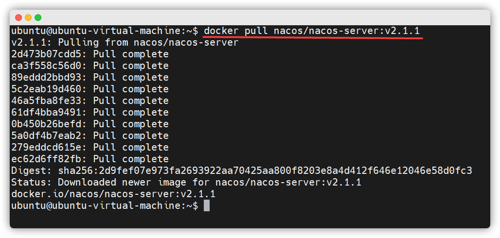 Docker 部署 Nacos (图文并茂超详细)
