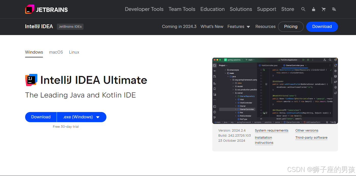 IntelliJ IDEA(2024版) 的安装、配置与使用教程：常用配置、创建工程等操作(很详细，你想要的都在这里)