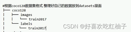 适合小白的超详细yolov8环境配置+实例运行教程，从零开始教你如何使用yolov8训练自己的数据集（Windows+conda+pycharm）