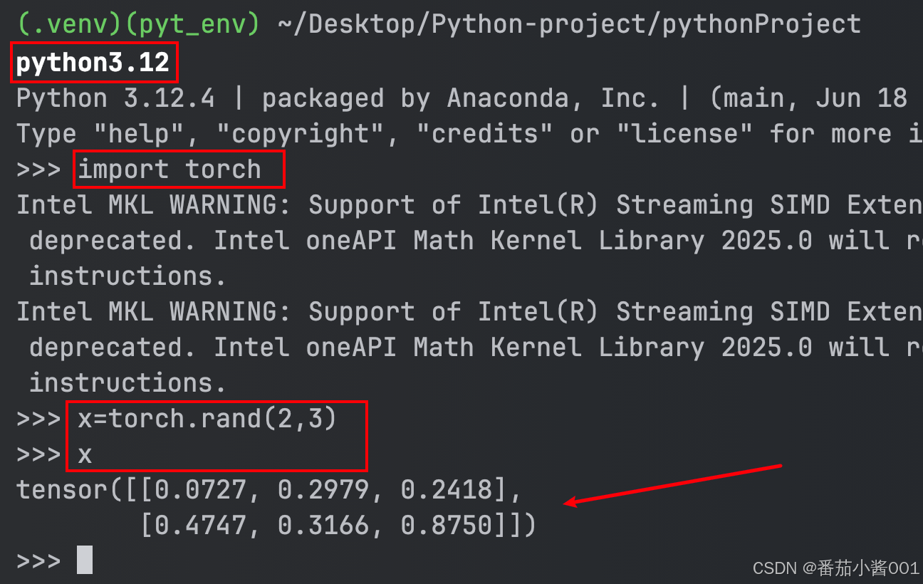 Mac 配置pytorch ---- 保姆级教程