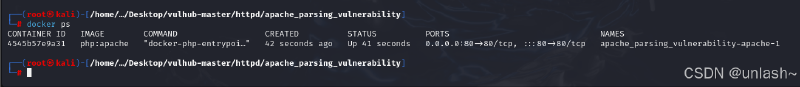 kali安装docker以及利用docker-compose运行vulhub靶场（全网最全最详细！）