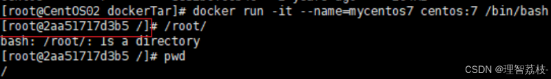 【Linux 篇】Docker 启动和停止的精准掌舵：操控指南