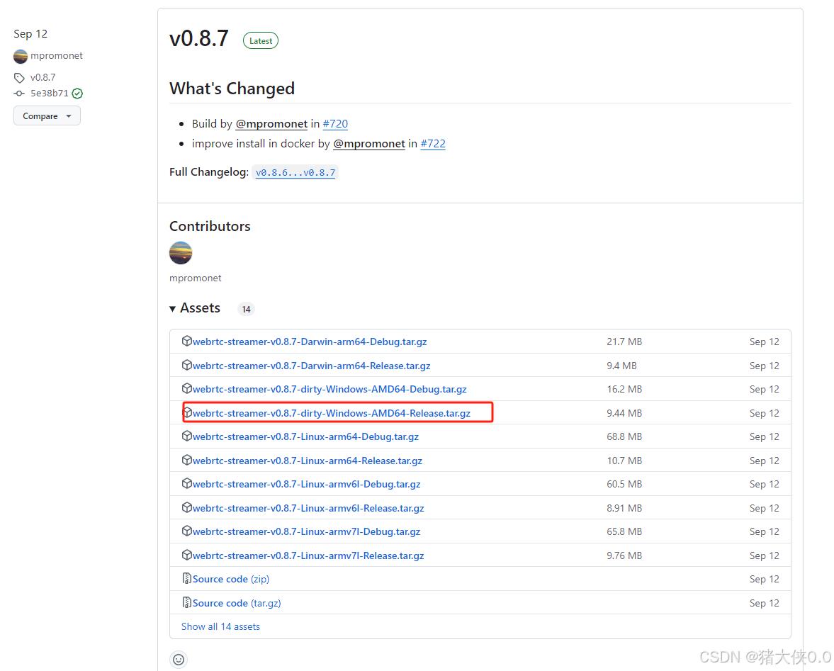 Vue前端播放rtsp视频流（vue+webrtc-streamer）