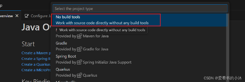 【小沐学Java】VSCode搭建Java开发环境