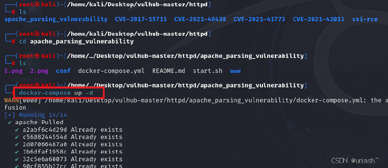 kali安装docker以及利用docker-compose运行vulhub靶场（全网最全最详细！）