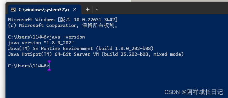 （超详细讲解）实现将idea的java程序打包成exe (新版,可以在没有java的电脑下运行，即可以发给好朋友一起玩)