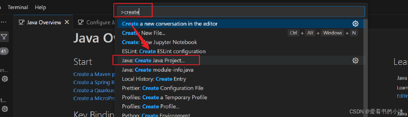 【小沐学Java】VSCode搭建Java开发环境
