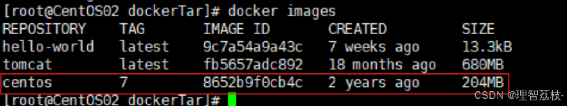 【Linux 篇】Docker 启动和停止的精准掌舵：操控指南