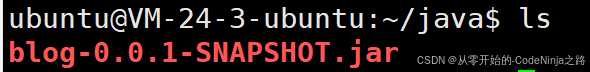 【Linux】将IDEA项目部署到云服务器上，让其成为后台进程(保姆级教学，满满的干货~~)