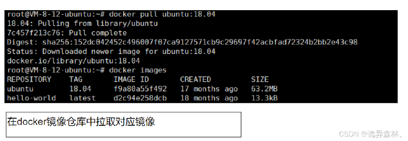 Docker--Docker Registry(镜像仓库)