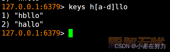 【redis】redix在Linux下的环境配置和redis的全局命令