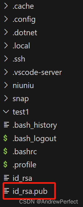 vscode通过ssh连接服务器实现免密登录+删除（吐血总结）