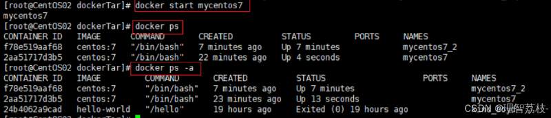【Linux 篇】Docker 启动和停止的精准掌舵：操控指南