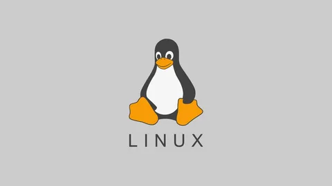 【Docker系列】CMD 格式的深入解析与应用实例