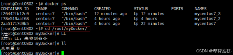 【Linux 篇】Docker 启动和停止的精准掌舵：操控指南