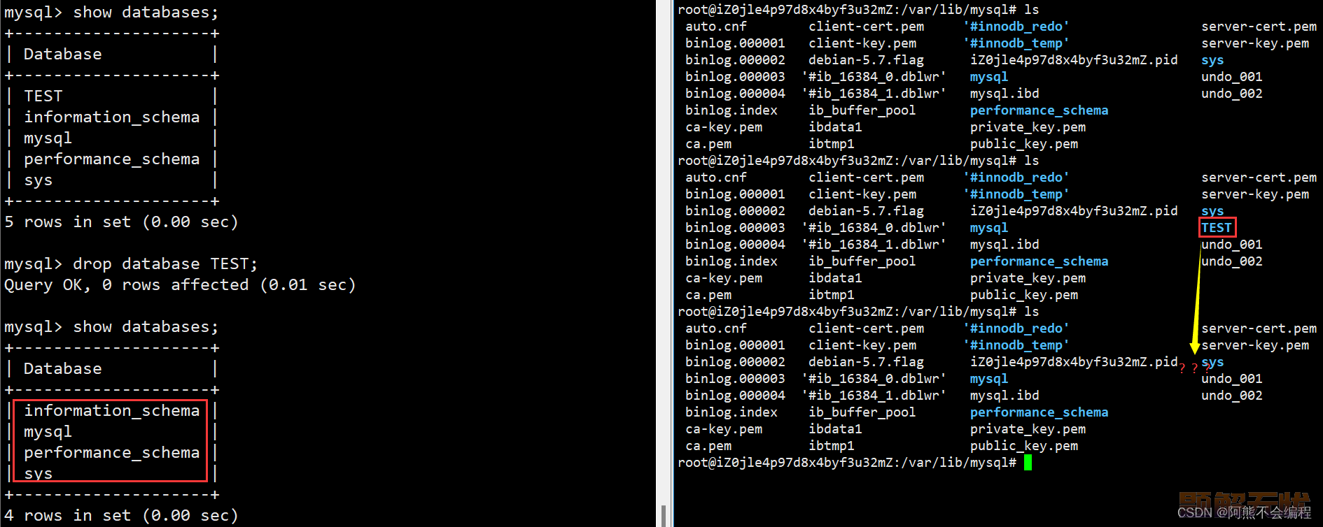 【MySQL】库的基础操作