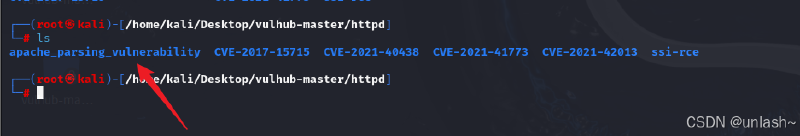 kali安装docker以及利用docker-compose运行vulhub靶场（全网最全最详细！）
