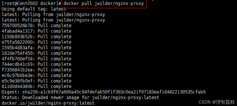 【Linux 篇】Docker 启动和停止的精准掌舵：操控指南