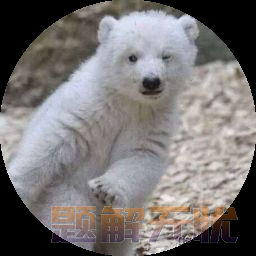 【Spring】SpringBoot整合Redis，用Redis实现限流（附Redis解压包）