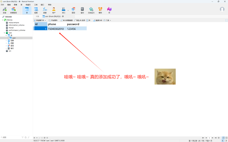 【使用IDEA创建SSM项目】
