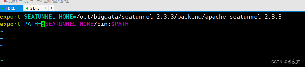 SeaTunnel及SeaTunnel Web部署指南(小白版)
