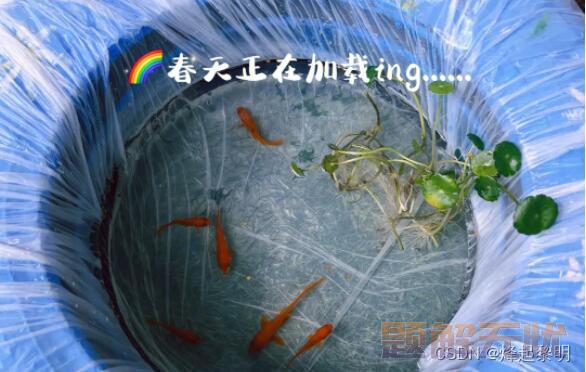 MySQL | JDBC连接数据库详细教程【全程干货】