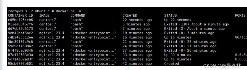 Docker--Docker Registry(镜像仓库)