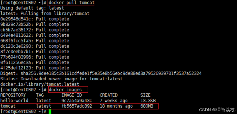 【Linux 篇】Docker 启动和停止的精准掌舵：操控指南
